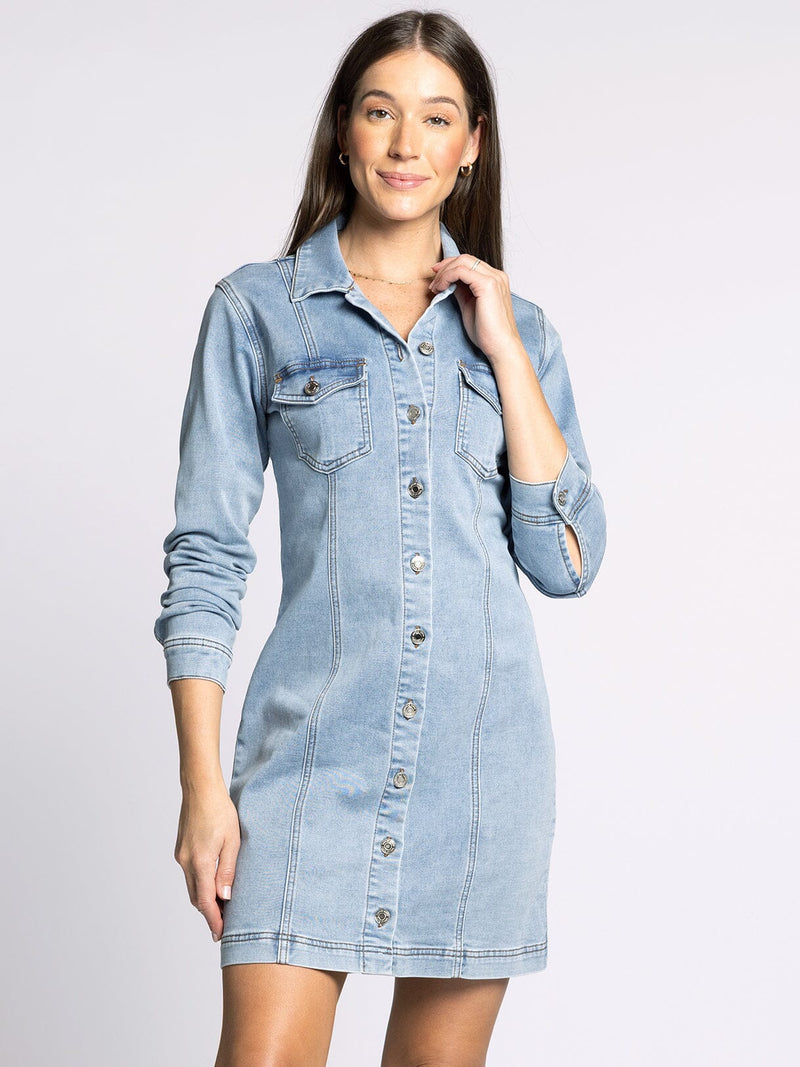 Thread & Supply Denim Dress