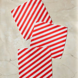 Peppermint Lane Dishcloth Set