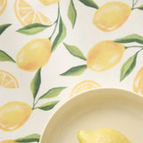 Limoncello Placemat Set Of 4